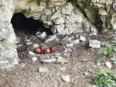 Vajíčka v hnízdě.